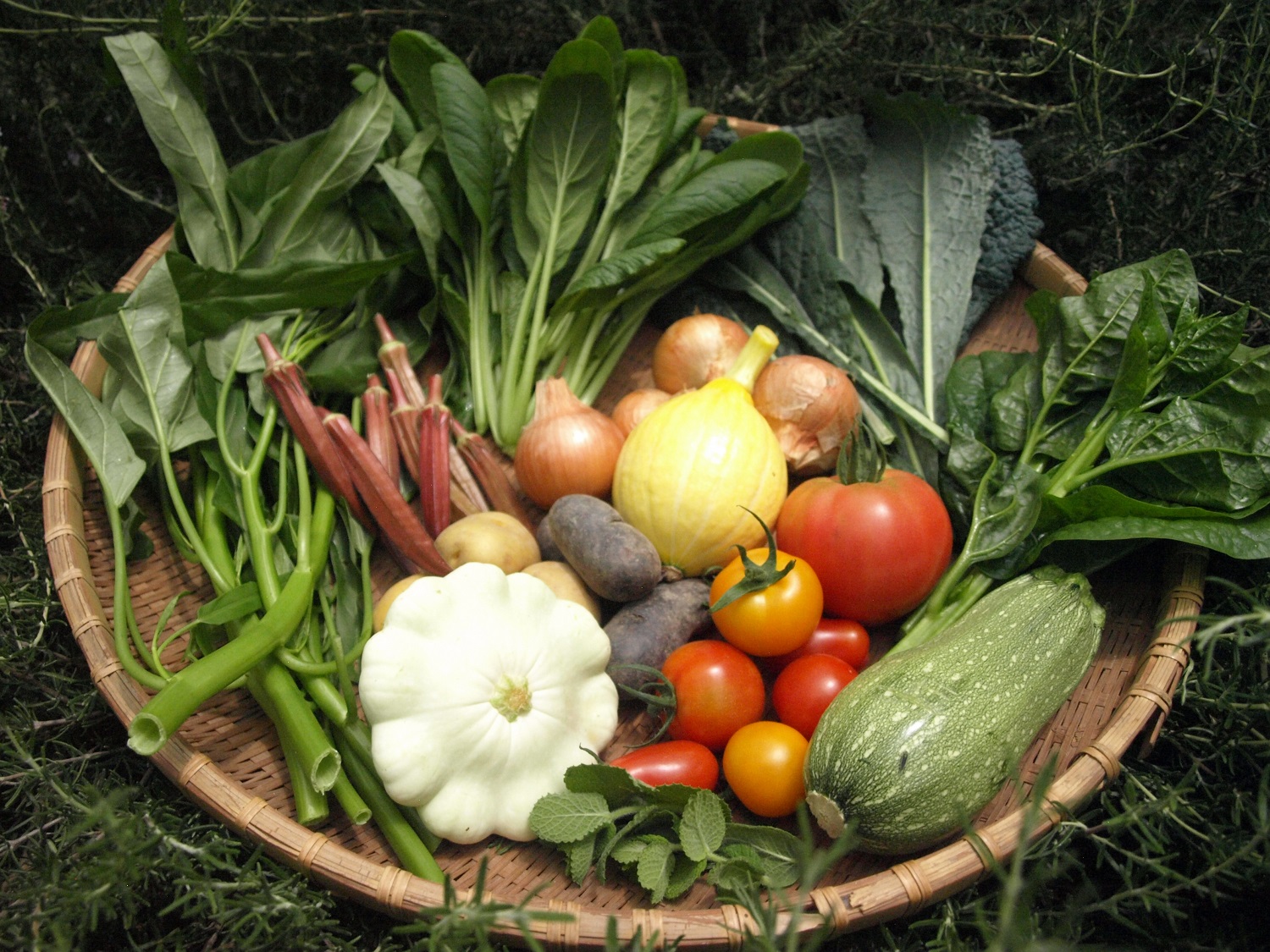 農薬化学肥料不使用 雲の上ガーデンのぴかぴか野菜セット（10回お届け）季節にあわせて10品目前後を毎月お届け【L003】季節 旬 詰め合わせ 採れたて 新鮮 産地直送 高知県産 冷蔵便 定期便