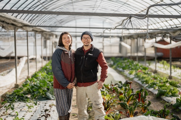 農薬化学肥料不使用 雲の上ガーデンのぴかぴか野菜セット（10回お届け）季節にあわせて10品目前後を毎月お届け【L003】季節 旬 詰め合わせ 採れたて 新鮮 産地直送 高知県産 冷蔵便 定期便