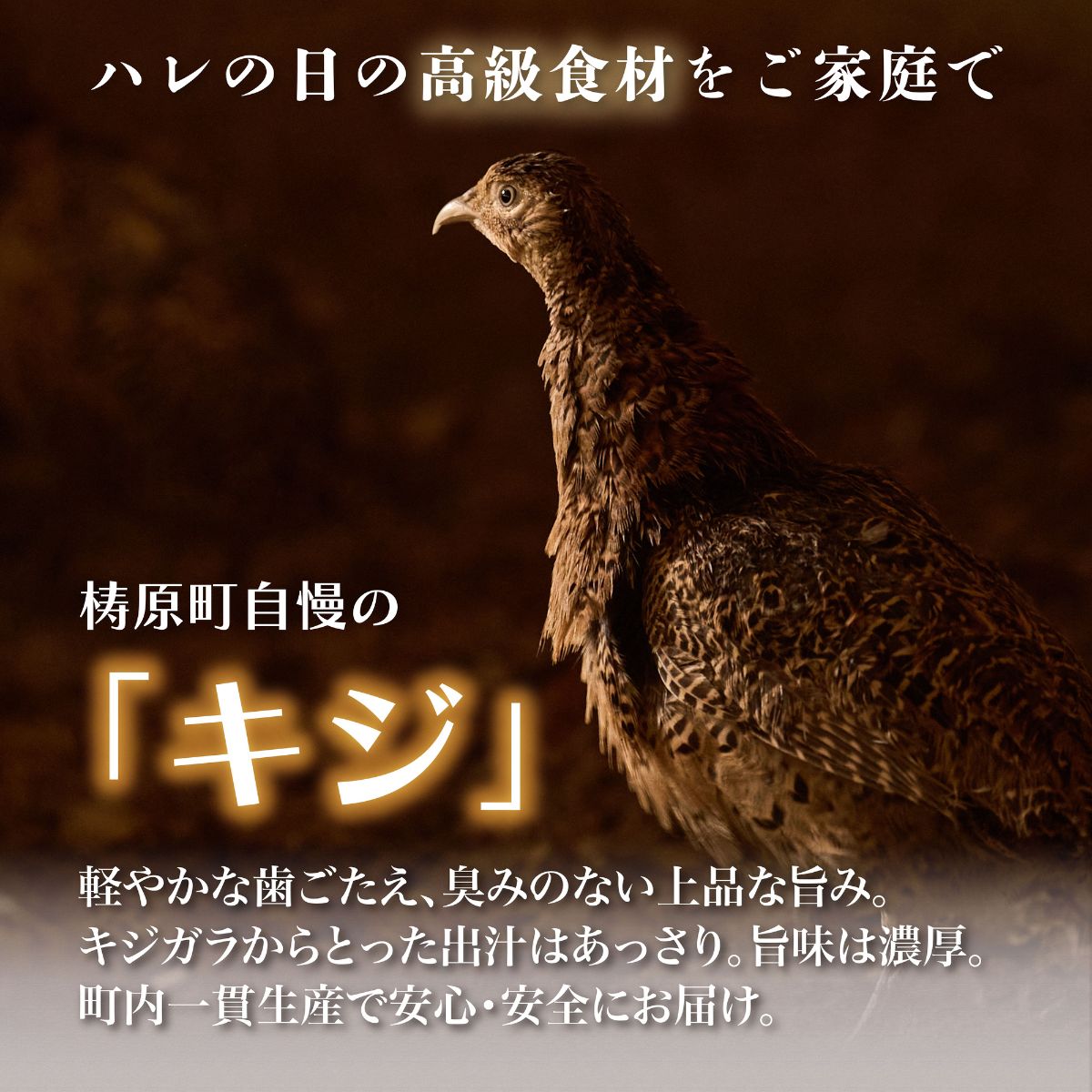 四万十川の源流域で育った自慢のキジ 鍋セット 希少キジ肉300g/特製キジ鍋スープ300ml (株式会社四万川雉生産部)【K005】高級食材 希少肉 高知県産 冷凍便