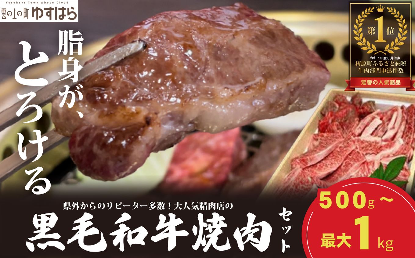 低温でも脂身がとろける梼原町産黒毛和牛 丸かじり焼肉セット（1kg）【GA02】牛肉 焼肉 焼き肉 やきにく 国産 高知県産 冷凍便