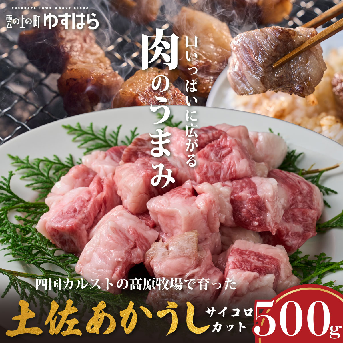 低温でも脂身がとろける土佐あかうしサイコロカット 500g　牛肉 和牛 国産 BBQ オレイン酸 高知県産