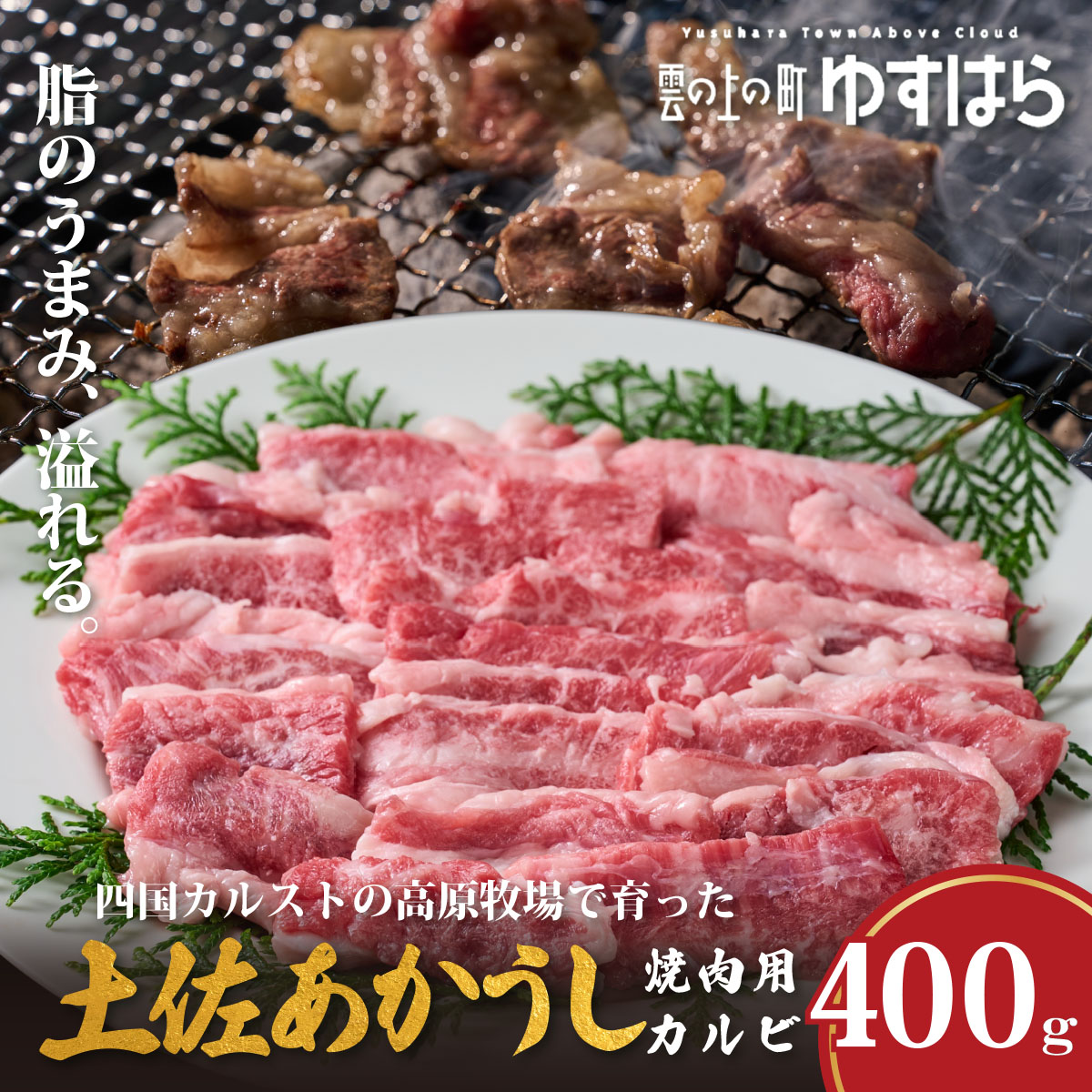 低温でも脂身がとろける土佐あかうし焼肉用カルビ　400g　牛肉 和牛 国産 BBQ オレイン酸 高知県産