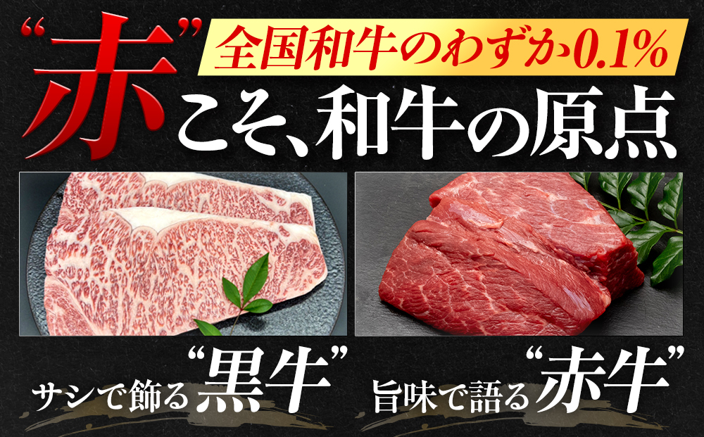 希少あかうし 土佐あかうし ハンバーグ 2.0kg 2kg 200g × 10個 合い挽きハンバーグ 冷凍 真空 小分け 個包装 肉汁 たっぷり 大容量 大きめ 合挽き 牛肉 豚肉 保存料 不使用 ビーフ ポーク 合いびき肉 挽肉 おかず 惣菜 晩ごはん 贅沢 お取り寄せ 肉 ギフト 人気 高知県 須崎市 お惣菜 はんばーぐ hannba-gu