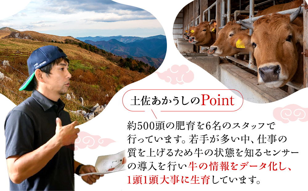 希少あかうし 土佐あかうし ハンバーグ 2.0kg 2kg 200g × 10個 合い挽きハンバーグ 冷凍 真空 小分け 個包装 肉汁 たっぷり 大容量 大きめ 合挽き 牛肉 豚肉 保存料 不使用 ビーフ ポーク 合いびき肉 挽肉 おかず 惣菜 晩ごはん 贅沢 お取り寄せ 肉 ギフト 人気 高知県 須崎市 お惣菜 はんばーぐ hannba-gu