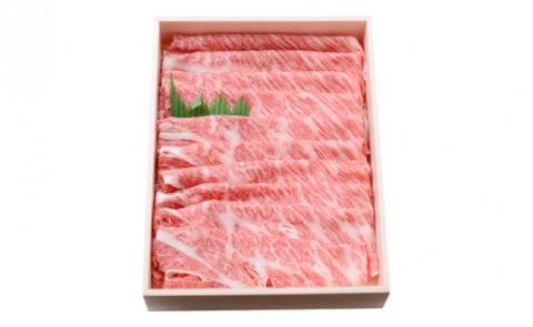 åäžå麊é
ïŒããŒã«ïŒçãçèã®è©ããŒã¹ãããã¶ããã¶ã«ã倧人æ°ïŒïŒAsz-B08