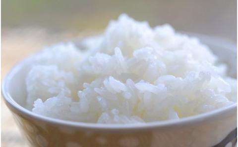 åäžå麊é
ïŒããŒã«ïŒçãçèã®è©ããŒã¹ãããã¶ããã¶ã«ã倧人æ°ïŒïŒAsz-B08