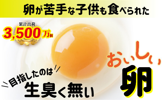 卵が苦手な子どもも食べられた!生臭くないおいしい卵 6個入×5P Gbn-A03