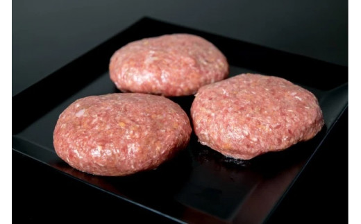 国産牛肉で作った特製手作りハンバーグ5個（750g）Asz-A15