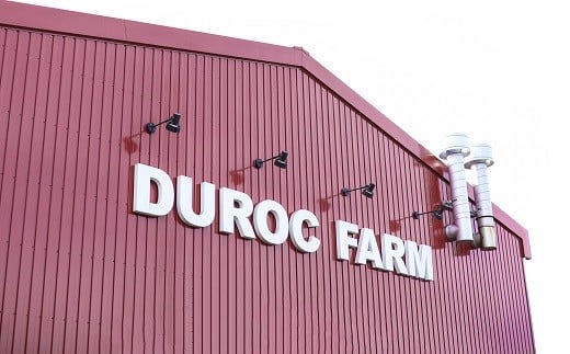 リピート率Ｎｏ1商品！ブランドポーク100％使用！旨味を瞬間冷凍パラパラミンチ1kg Adf-A07