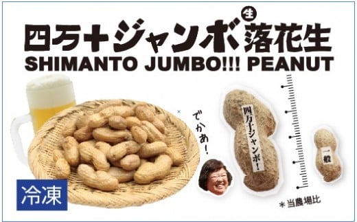 2024新豆　塩ゆで四万十ジャンボ落花生760g（380g２個）　こだわりの無農薬栽培！大きいだけじゃない！美味しさもジャンボ！／Fsy-12