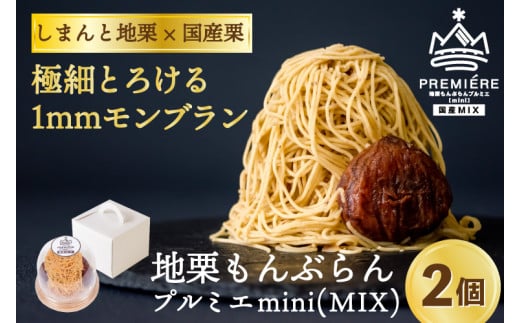 【予約】1mm極細！とろけるモンブラン「地栗もんぶらん プルミエmini(MIX)」2個／Qdr-231