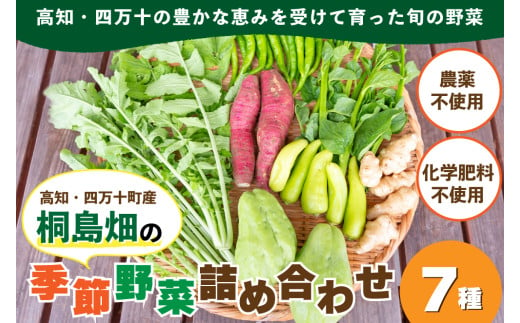 【栽培期間中、農薬・化学肥料不使用】桐島畑の季節野菜詰め合わせ(7種類) ／Fkh-10