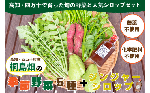 【栽培期間中、農薬・化学肥料不使用】桐島畑の季節野菜(5種類)＋ジンジャーシロップ1本 ／Fkh-11