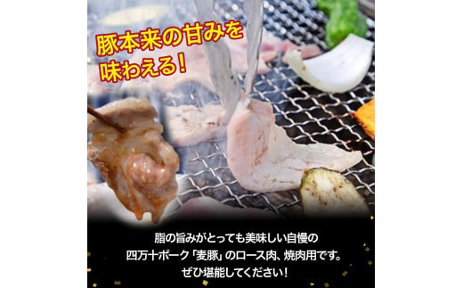 農林水産大臣賞受賞の「四万十ポーク」平野協同畜産の「麦豚」焼き肉（豚ロース肉1.1kg）Ahc-01