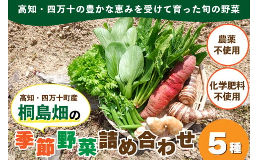 【栽培期間中、農薬・化学肥料不使用】桐島畑の季節野菜詰め合わせ(5種類) ／Fkh-A07