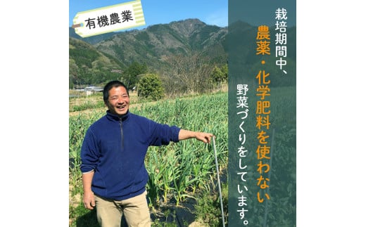 【栽培期間中、農薬・化学肥料不使用】桐島畑の季節野菜詰め合わせ(5種類) ／Fkh-A07