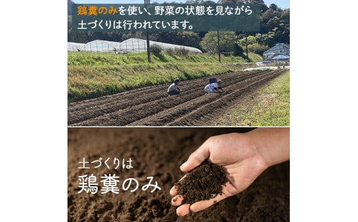 【栽培期間中、農薬・化学肥料不使用】桐島畑の季節野菜詰め合わせ(5種類) ／Fkh-A07