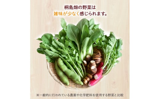 【栽培期間中、農薬・化学肥料不使用】桐島畑の季節野菜詰め合わせ(5種類) ／Fkh-A07