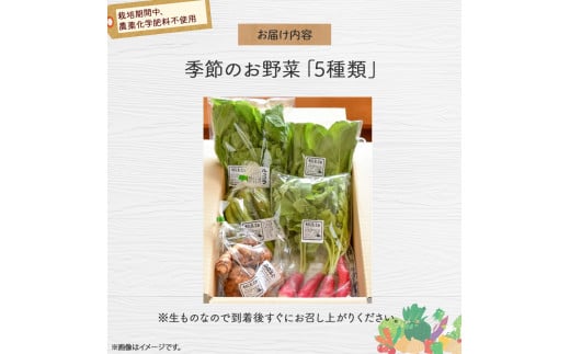 【栽培期間中、農薬・化学肥料不使用】桐島畑の季節野菜詰め合わせ(5種類) ／Fkh-A07