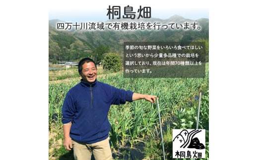 【栽培期間中、農薬・化学肥料不使用】桐島畑の季節野菜詰め合わせ(5種類) ／Fkh-A07