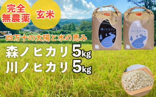 【2024年産・新米】完全無農薬の玄米『森ノヒカリ(3kg)』『川ノヒカリ(3kg)』セット　／Bnm-22