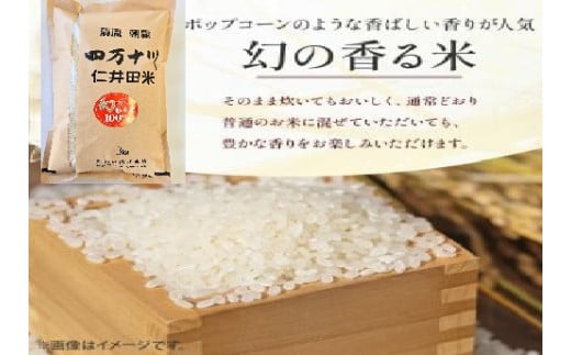 【令和6年産米】樽井商店の仁井田米「幻の香る米」6kg　／Bti-A03 　