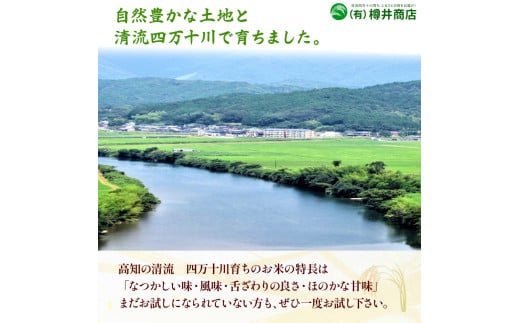 【令和6年産米】樽井商店の仁井田米「幻の香る米」6kg　／Bti-A03 　