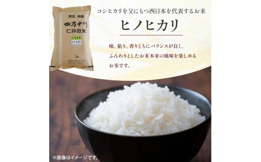 【令和7年産米】おいしい仁井田米のお店　樽井商店のヒノヒカリ 3kg／Bti-F07