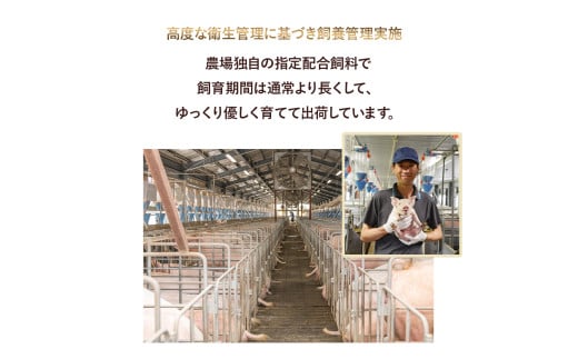 農林水産大臣賞！「四万十ポーク」麦豚ロースとんかつ＆しゃぶしゃぶセット（1.1kg） 豚カツ 豚かつ シャブシャブ 国産 ぶた肉 豚肉 肉 お肉 国産豚肉 国産ぶた肉 冷蔵 ／Ahc-03