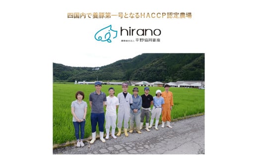 農林水産大臣賞！「四万十ポーク」麦豚ロースとんかつ＆しゃぶしゃぶセット（1.1kg） 豚カツ 豚かつ シャブシャブ 国産 ぶた肉 豚肉 肉 お肉 国産豚肉 国産ぶた肉 冷蔵 ／Ahc-03