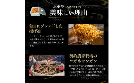 水車亭特製4種の芋けんぴ詰合せセット(プレーン2袋・塩2袋・青のり1袋・黒ごま1袋)　水車亭 芋けんぴ サツマイモ さつま芋 芋おやつ 和スイーツ 4フレーバー いもけんぴ 高知／Ing-A08