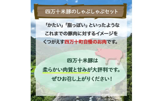 柔らかい肉質と甘みが人気！しまんと米豚のしゃぶしゃぶセット 計800g（400g×2)　 豚肉 豚 豚しゃぶ お取り寄せ 人気 ギフト お歳暮 お年賀  豚バラ 豚ロース 薄切り 冷蔵／Qjs-01