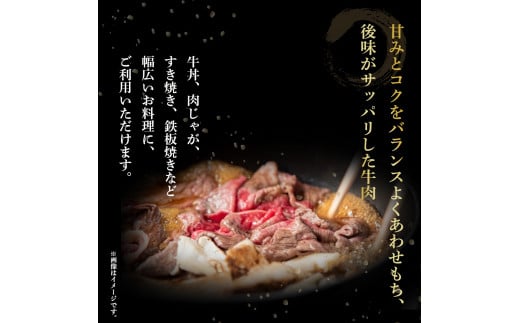 四万十麦酒牛 こま切れ (360g×2)  焼肉 赤身 しゃぶしゃぶ 麦酒牛 ビール牛 小間切れ こまぎれ 冷凍 小分け／Asz-02