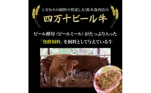 四万十麦酒牛 厚切り特選焼き肉セット（500g） モモ ウデ バラ肉 肩ロース 詰め合わせ 霜降り 赤身 麦酒牛 ビール牛 冷凍／Asz-07