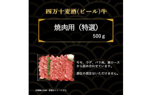 四万十麦酒牛 厚切り特選焼き肉セット（500g） モモ ウデ バラ肉 肩ロース 詰め合わせ 霜降り 赤身 麦酒牛 ビール牛 冷凍／Asz-07