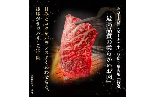 四万十麦酒牛 厚切り特選焼き肉セット（500g） モモ ウデ バラ肉 肩ロース 詰め合わせ 霜降り 赤身 麦酒牛 ビール牛 冷凍／Asz-07