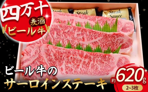 四万十麦酒牛 サーロインステーキ 620g（2枚～3枚）麦酒牛 牛肉 肉 国産牛 冷凍 ステーキ サーロイン サーロインステーキ／Asz-09