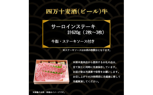 四万十麦酒牛 サーロインステーキ 620g（2枚～3枚）麦酒牛 牛肉 肉 国産牛 冷凍 ステーキ サーロイン サーロインステーキ／Asz-09