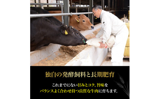 四万十麦酒牛 サーロインステーキ 620g（2枚～3枚）麦酒牛 牛肉 肉 国産牛 冷凍 ステーキ サーロイン サーロインステーキ／Asz-09