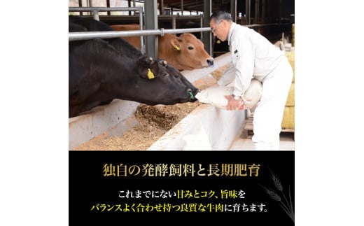 四万十麦酒牛 600g こま切れ / 厚切り焼肉用（各300gセット） 小間切れ 焼肉 モモ ウデ バラ肉 肩ロース 詰め合わせ ビール牛 赤身 冷凍 牛肉／Asz-37