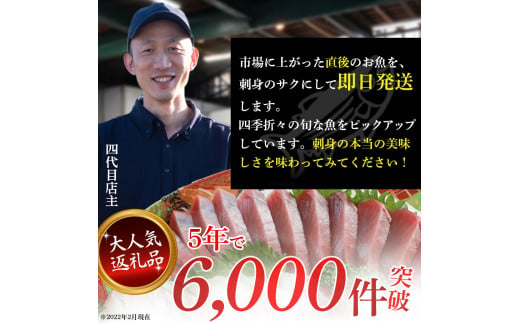 旬な海の幸をお届け！大将のおまかせ刺身2～3種類盛！ 刺し身 海鮮 鮮魚 海鮮丼 魚 刺身セット お魚 さしみ 魚介類　刺身盛り合わせ 冷蔵 2人前 カツオ 鰹 鰹のたたき マグロ ブリ カンパチ 即日発送／Efs-01