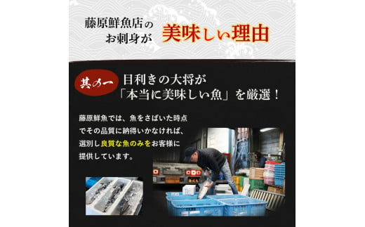 旬な海の幸をお届け！大将のおまかせ刺身2～3種類盛！ 刺し身 海鮮 鮮魚 海鮮丼 魚 刺身セット お魚 さしみ 魚介類　刺身盛り合わせ 冷蔵 2人前 カツオ 鰹 鰹のたたき マグロ ブリ カンパチ 即日発送／Efs-01