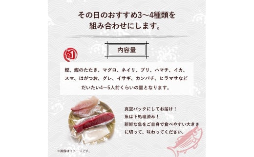 旬な海の幸をお届け！大将のおまかせ刺身3～4種類盛！ 刺し身 海鮮 鮮魚 海鮮丼 魚 刺身セット お魚 さしみ 魚介類 刺身盛り合わせ 冷蔵 鰹 マグロ ブリ ハマチ イカ スマ グレ イサギ セット カンパチ ヒラマサ／Efs-03