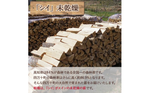 四万十の薪　未乾燥 シイ他(約18～20kg)×10箱　四万十の薪　未乾燥 キャンプ 薪ストーブ ストーブ 薪割り 割り薪 まき 乾燥 済 アウトドア キャンプ ファイヤー 焚き火 焚火 森林 林業 木 サウナ／Bnm-09