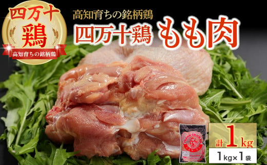 高知育ちの銘柄鶏 四万十鶏 もも肉 1kg　国産 国産鶏肉 肉 お肉 鶏肉 とりにく 鳥肉 鶏モモ 鶏もも 冷凍 唐揚げ ／Adf-A29