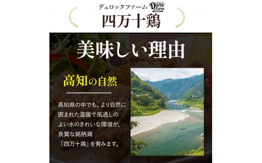 高知育ちの銘柄鶏 四万十鶏 もも肉 1kg　国産 国産鶏肉 肉 お肉 鶏肉 とりにく 鳥肉 鶏モモ 鶏もも 冷凍 唐揚げ ／Adf-A29