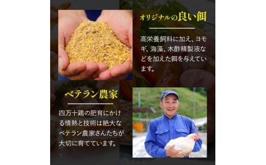 高知育ちの銘柄鶏 四万十鶏 もも肉 1kg　国産 国産鶏肉 肉 お肉 鶏肉 とりにく 鳥肉 鶏モモ 鶏もも 冷凍 唐揚げ ／Adf-A29