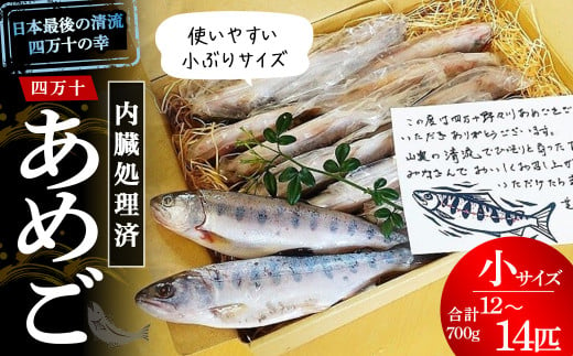 四万十の幸「あめご」 使いやすい小ぶりサイズ 700g (16cm前後×12～14匹)  あめご アメゴ 小魚 魚 魚介 川魚 塩焼き 南蛮漬け 冷凍／Eay-02