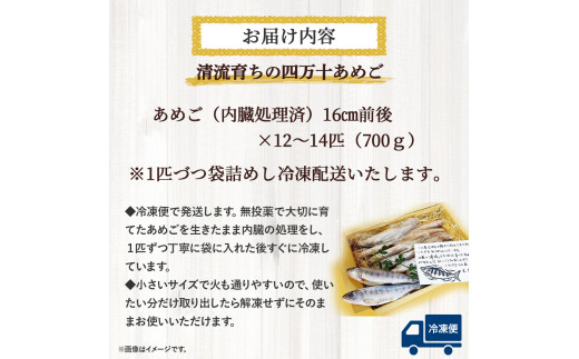 四万十の幸「あめご」 使いやすい小ぶりサイズ 700g (16cm前後×12～14匹)  あめご アメゴ 小魚 魚 魚介 川魚 塩焼き 南蛮漬け 冷凍／Eay-02