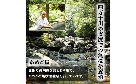 四万十の幸「あめご」 使いやすい小ぶりサイズ 700g (16cm前後×12～14匹)  あめご アメゴ 小魚 魚 魚介 川魚 塩焼き 南蛮漬け 冷凍／Eay-02